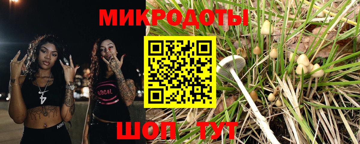 Чебаркуль  Галлюциногенные грибы Magic Shrooms  Вход с VPN 